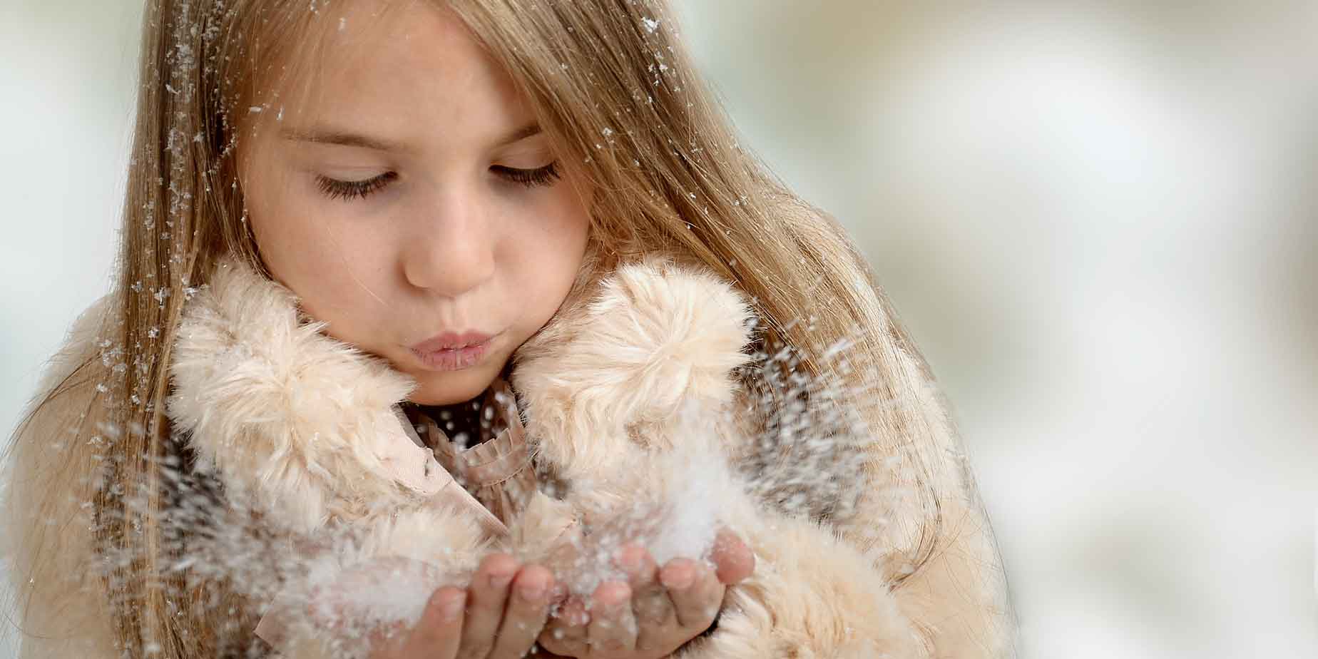 Doll-Immobilien_Blog-News-Header2_RGB-1848x924px